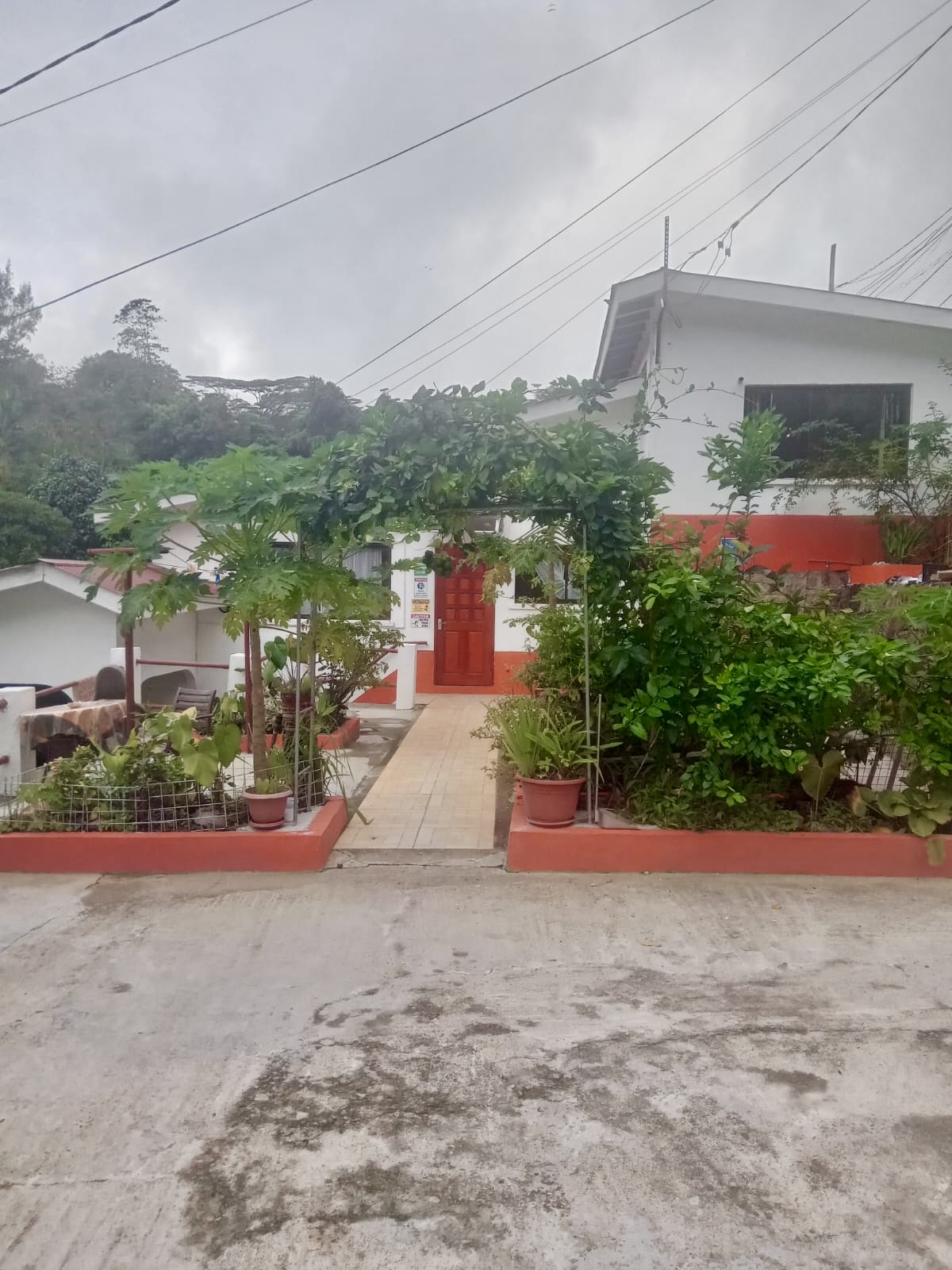 Front entrance with tropical garden