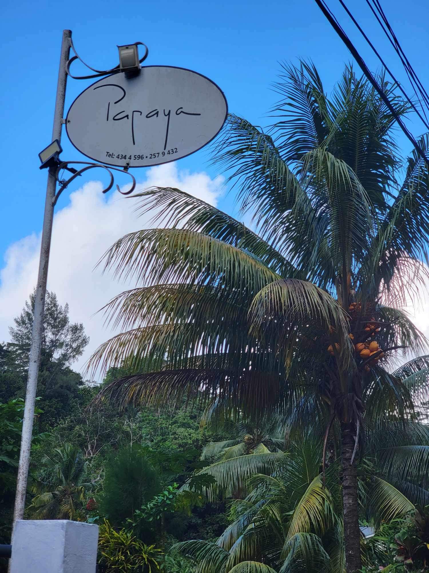 Papaya Guesthouse sign beneath palm trees